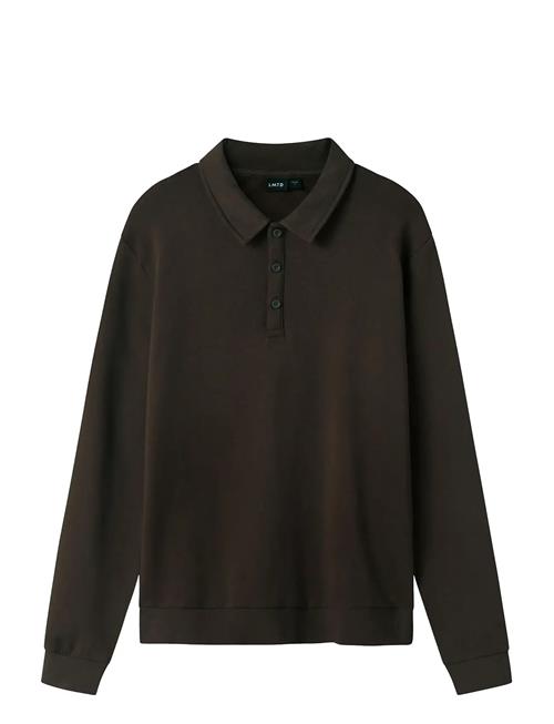 Nlnnizu Ls Bru Polo Sweat LMTD Brown