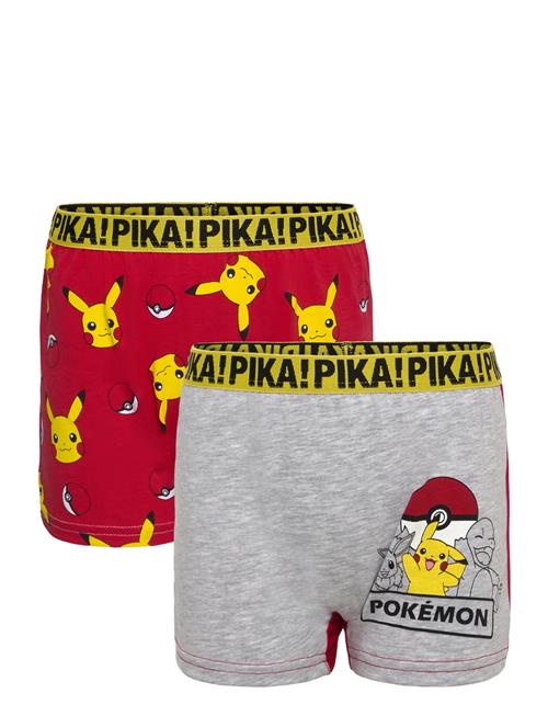 Boxer Pókemon Red