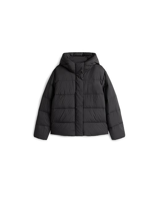 TOMMY HILFIGER Vinterjakke  sort