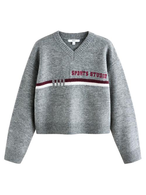 Next Pullover  grå / rød / hvid