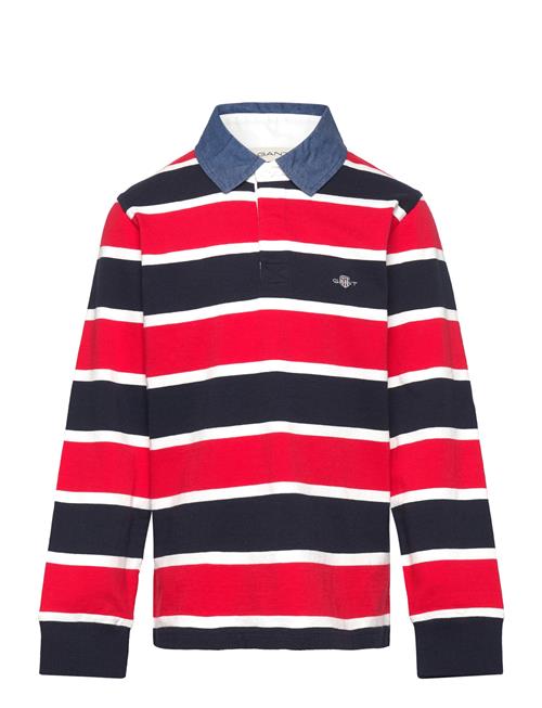 Striped Shield Rugger GANT Patterned