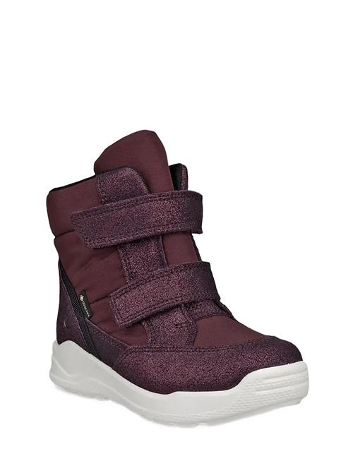 Urban Mini ECCO Burgundy
