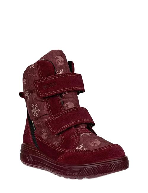 Urban Snowboarder ECCO Burgundy