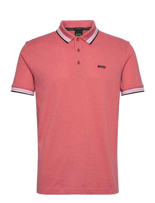 Paddy BOSS Pink