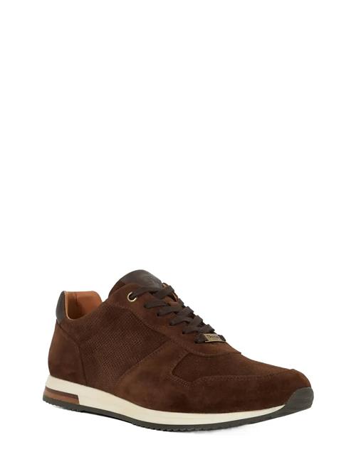 Trilogy Dune London Brown