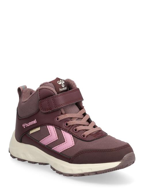 Root Tex Jr Hummel Purple
