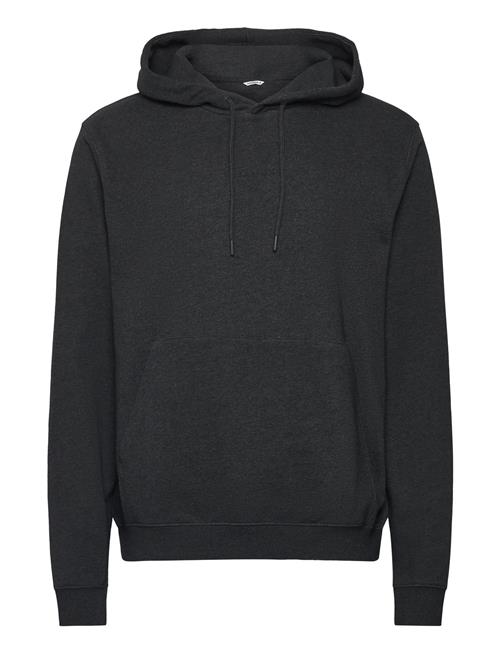 Borg Classic Hoodie Björn Borg Grey