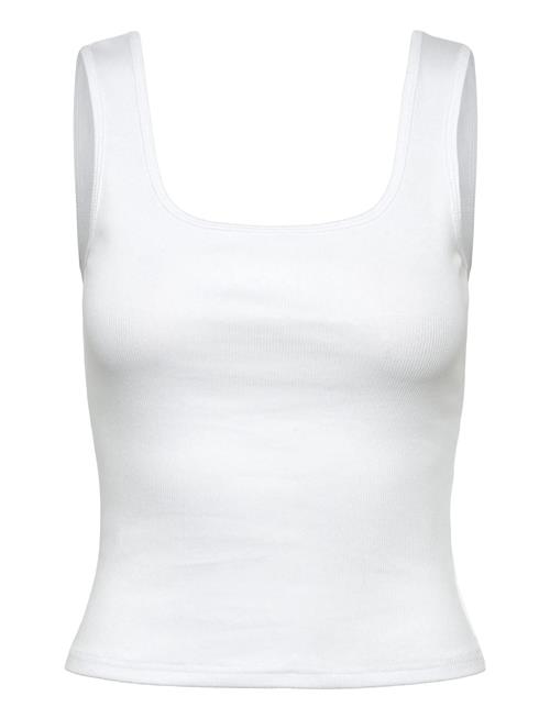 Original Rib Tank Björn Borg White