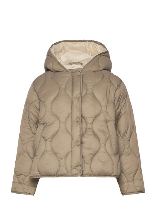 Hood Quilted Coat Mango Beige