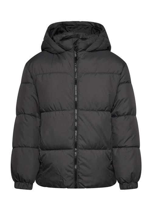 Hood Quilted Coat Mango Black