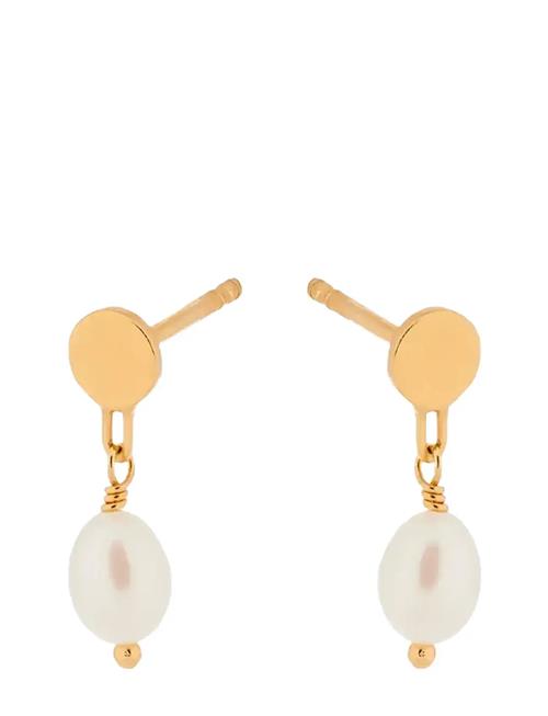 Ocean Dream Earsticks Pernille Corydon Gold
