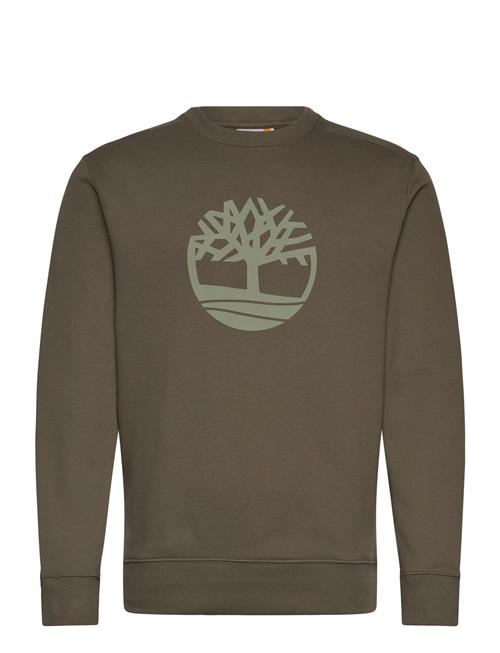 Tree Logo Crew Neck Sweatshirt Timberland Green