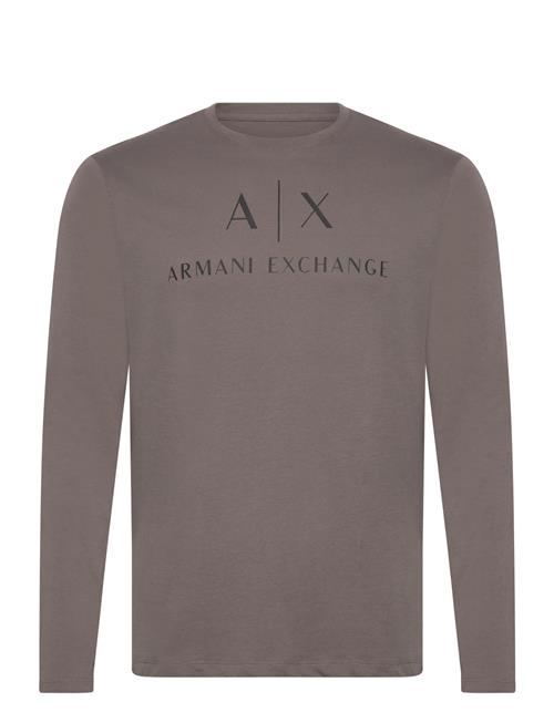 T-Shirt Armani Exchange Brown