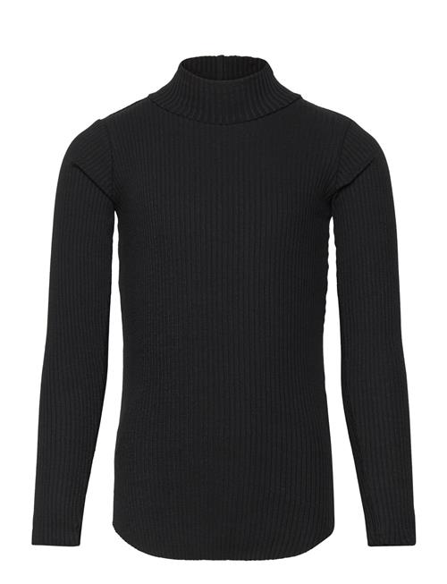 Romaine Molo Black