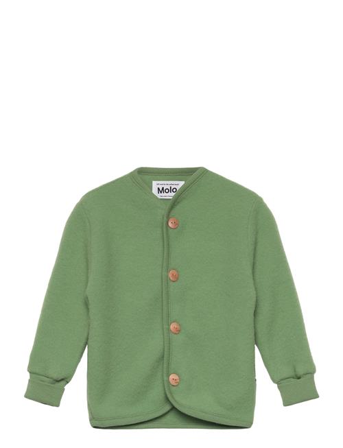 Umber Molo Green