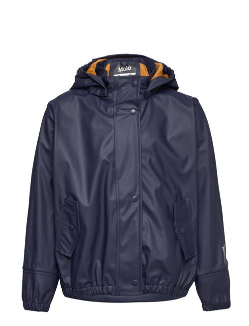 Zan Molo Navy