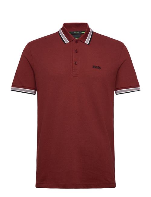 Paddy BOSS Red