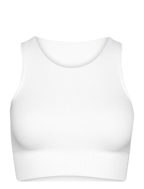 White Ribbed Seamless Crop Top Aim´n White