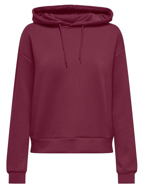 Onplounge Life Hood Ls Swt Noos Only Play Burgundy