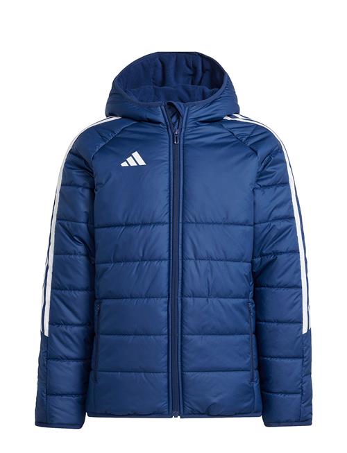 Tiro24 Wintjkty Adidas Performance Blue