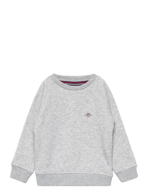 Shield C-Neck GANT Patterned