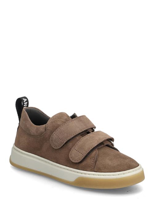 Shoes - Flat - With Velcro ANGULUS Brown