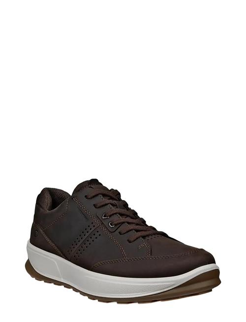Byway 2.0 ECCO Brown