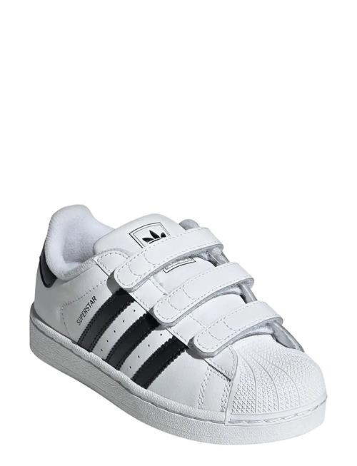 Superstar Ii Cf C Adidas Originals White