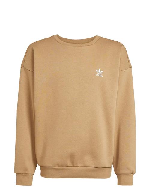 Boyfriend Crew Adidas Originals Beige