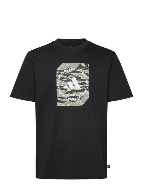M C Camo Box T Adidas Sportswear Black