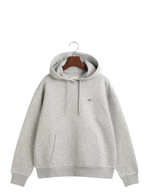 Shield Hoodie GANT Grey