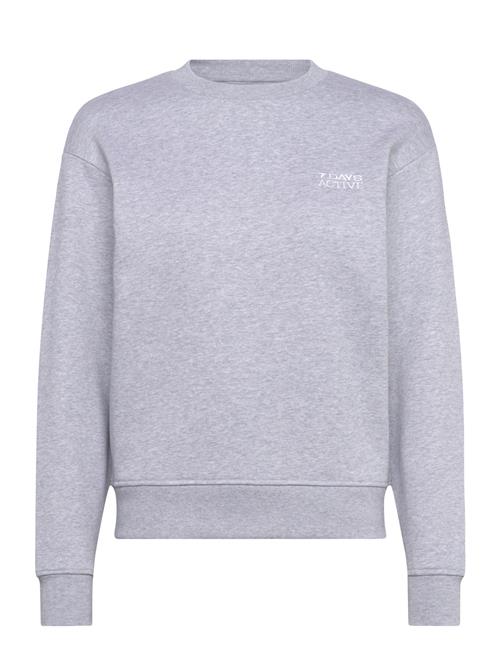 Organic Fitted Crewneck 7 DAYS Active Grey