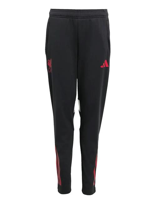 Lfc Tr Pnt Y Adidas Performance Black