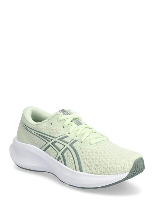 Patriot 14 Asics Green