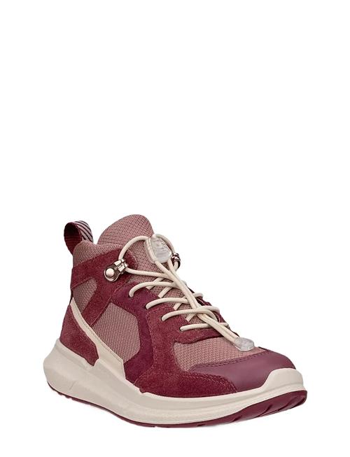 Biom 2.2 K ECCO Burgundy