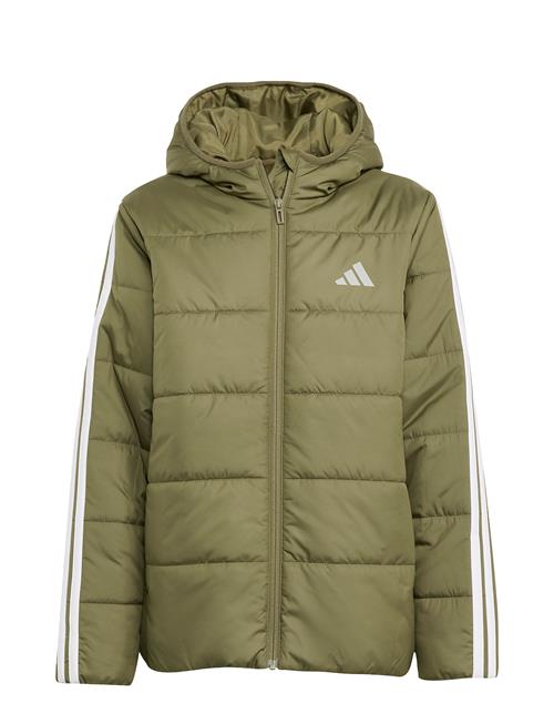 J Ess 3S Jkt Adidas Sportswear Khaki