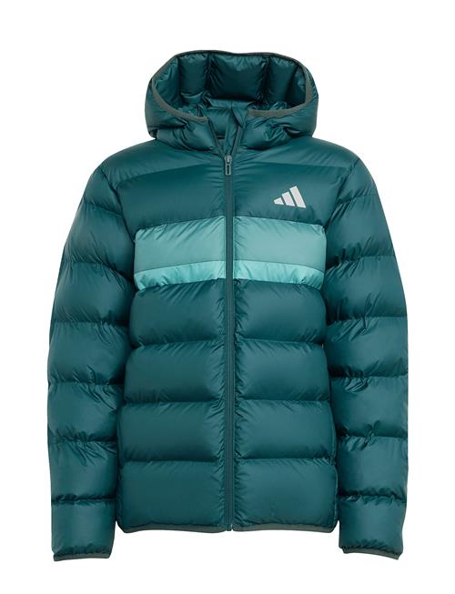 J Sd Jkt Adidas Sportswear Green