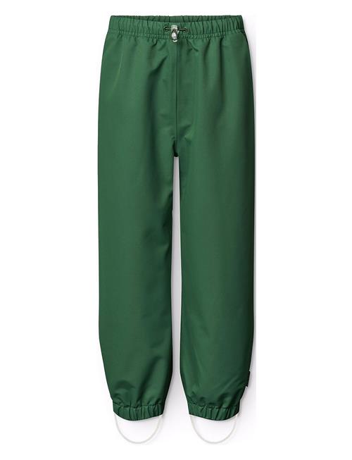 Waits Molo Green