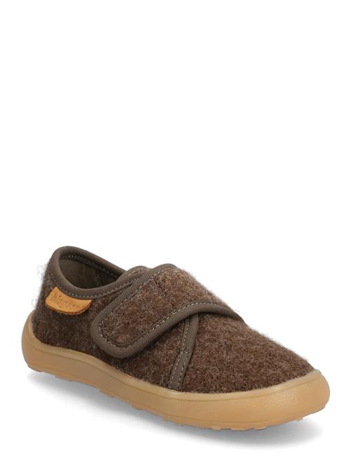 Bisgaard Pav Bisgaard Brown