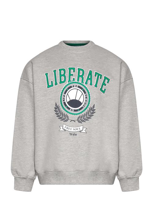 Tnpenno Os Sweatshirt The New Grey