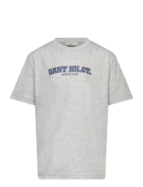 Graphic Ss T-Shirt GANT Grey
