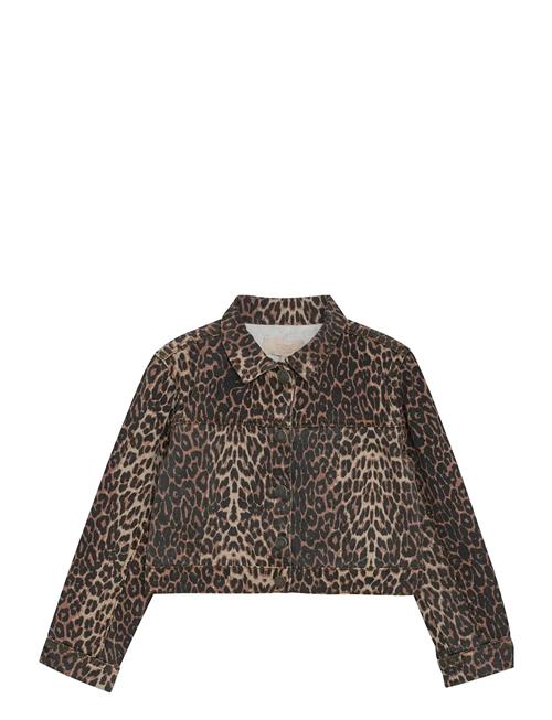 Jacket Leo Creamie Brown