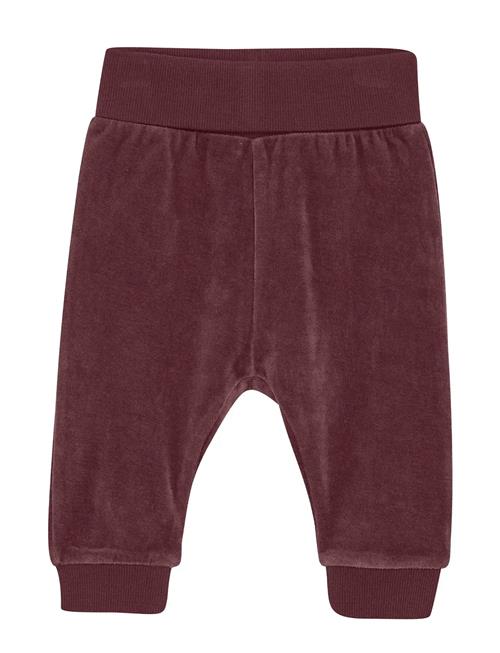 Pants Velour Fixoni Burgundy
