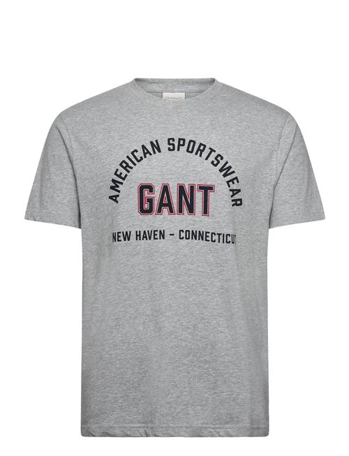 Printed Graphic Ss T-Shirt GANT Grey