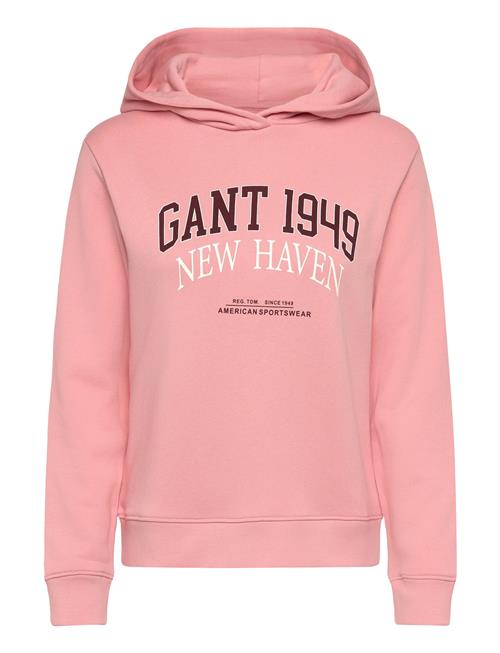 Reg Arch Print Hoodie GANT Pink