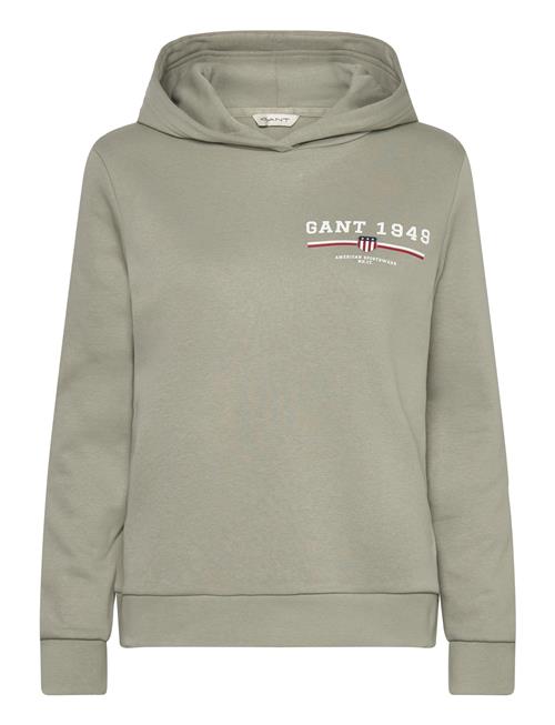 Reg Graphic Hoodie GANT Khaki