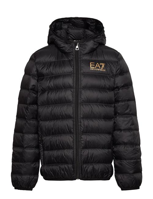 Down Jacket EA7 Black
