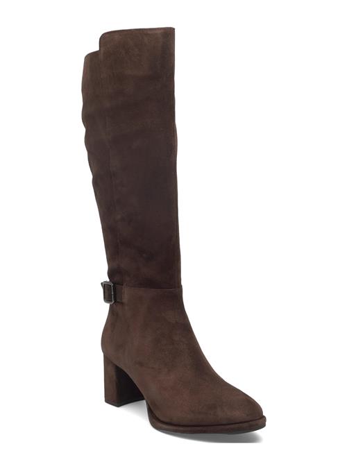 Lebrunbs UNISA Brown