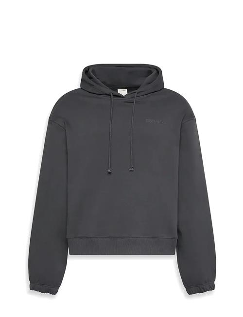L/S Hoodie Calvin Klein Grey