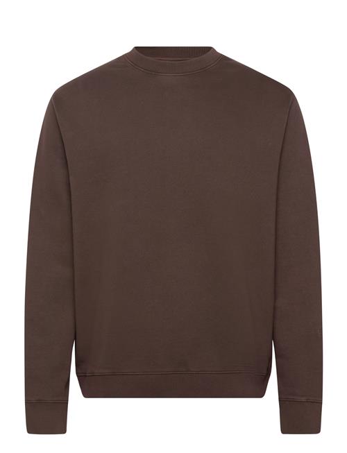 Mmgfrench Faded Sweat Mos Mosh Gallery Brown